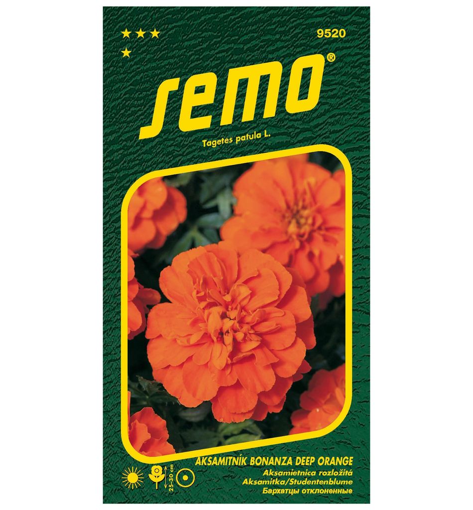 Samen Studentenblume ́BONANZA DEEP ORANGE ́