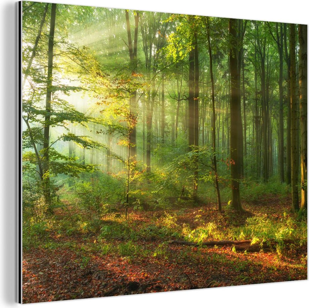 MuchoWow Wanddekoration Metall Metallbild Wandkunst 40x30 cm Sonne - Wald - Bäume - Natur - Herbst MuchoWow Aluminium Gemälde - Dekoration Wohnzi...