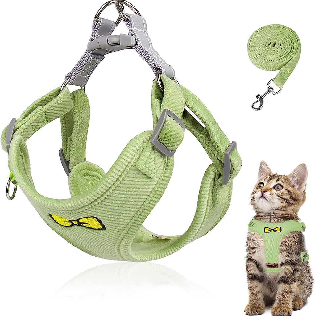Katzenleinen-Set für Katzen, verstellbares Produktbild 