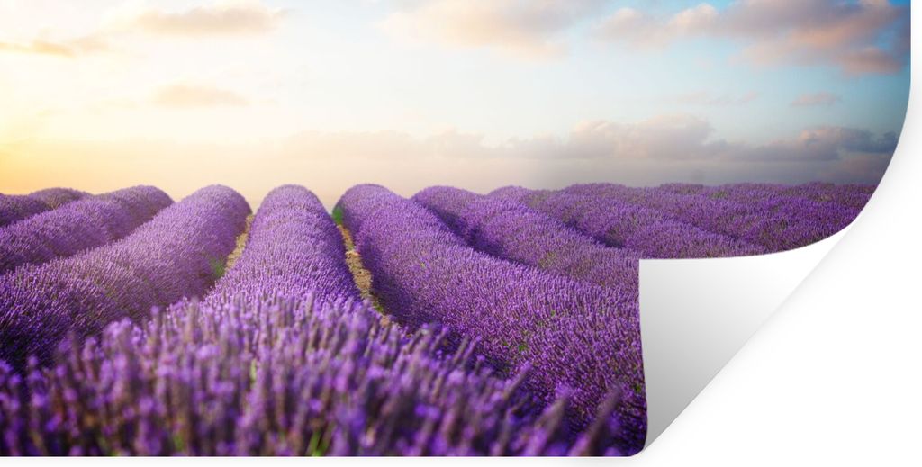 MuchoWow Wandtattoo Wandsticker Wandaufkleber Lavendel - Himmel - Wolken - Blumen 160x80 cm Selbstklebend und Repositionierbar - Sticker - Dekorf...