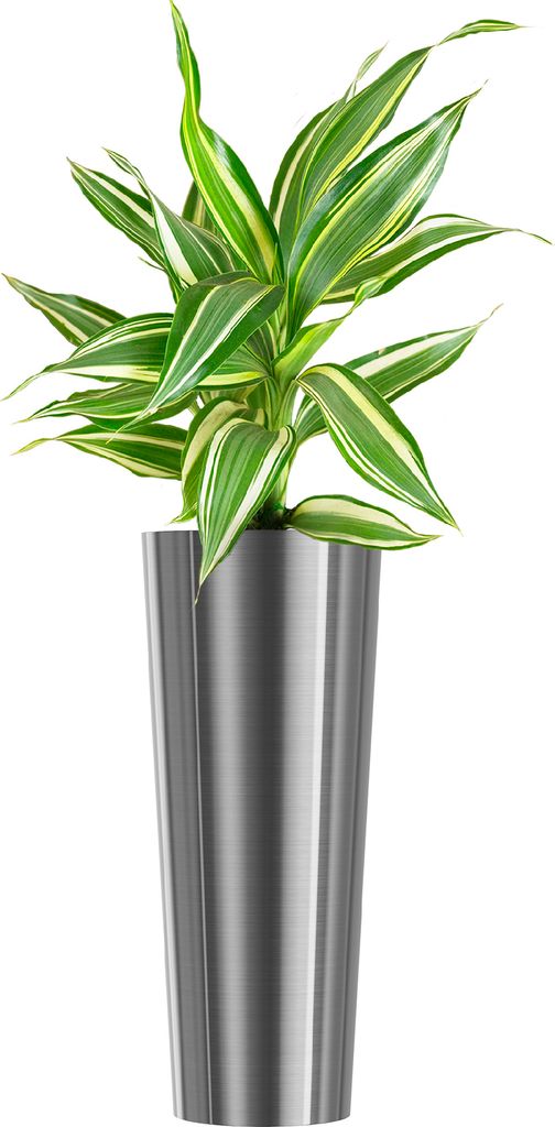 wuuhoo I Pflanzkübel Holly aus Edelstahl rosefarben silber Produktbild