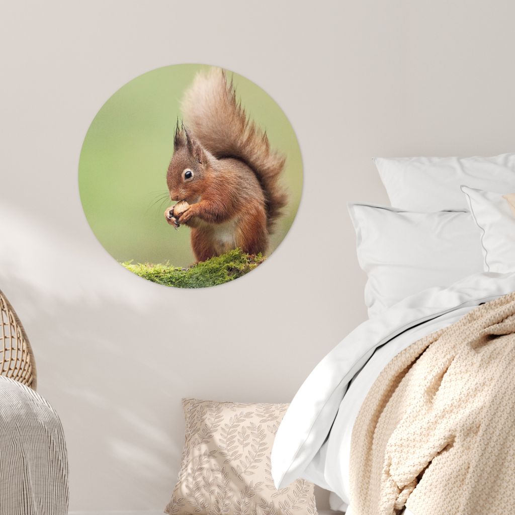 MuchoWow® - Wand Kreis - Wand Bild - Foto Tapete - Produktbild 