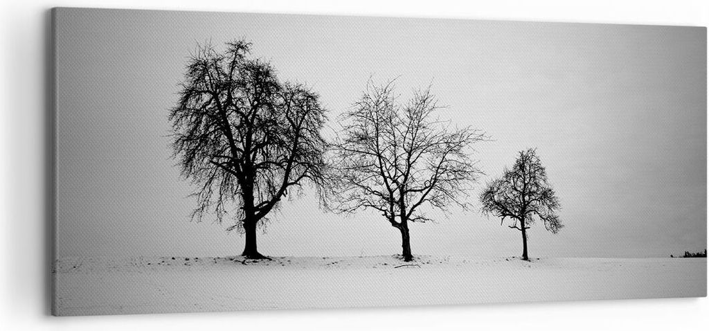 Bild auf Leinwand - Leinwandbild - Einteilig - Winter Bäume Schnee - 120x50cm - Wand Bild - Wanddeko - Wandbilder - Leinwanddruck - Bilder - Wandd...