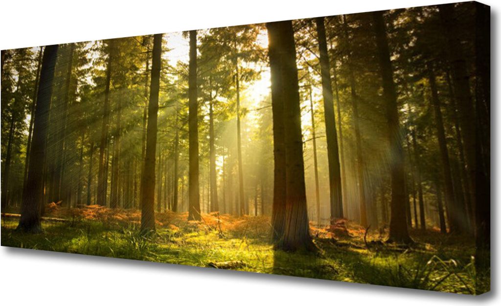 Tulup Leinwand-Bilder 125x50 Wandbild Canvas Kunstdruck Wald Natur