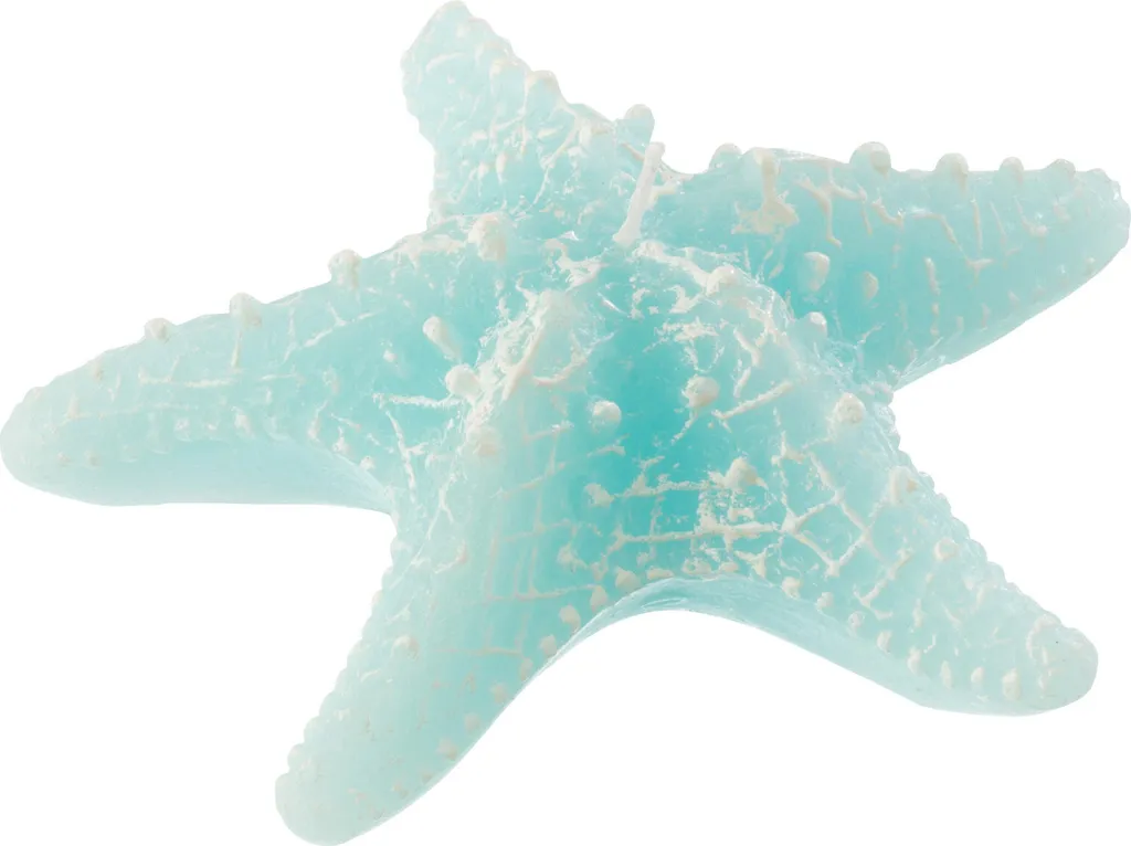 Bougie Étoile de Mer Azur : Décoration Marine Rapide et Ambiance 2h