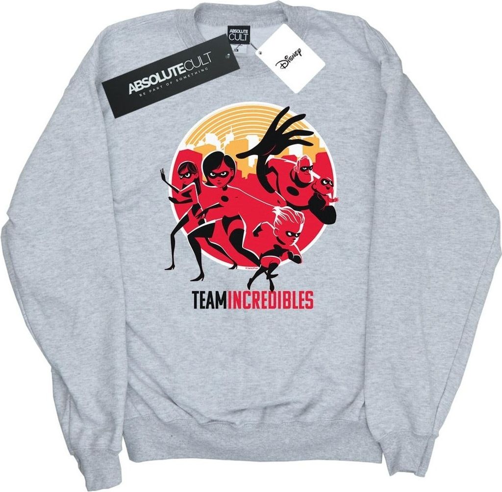 Disney - "Incredibles 2 Team Incredibles" Sweatshirt für Herren BI49256 (3XL) (Grau)