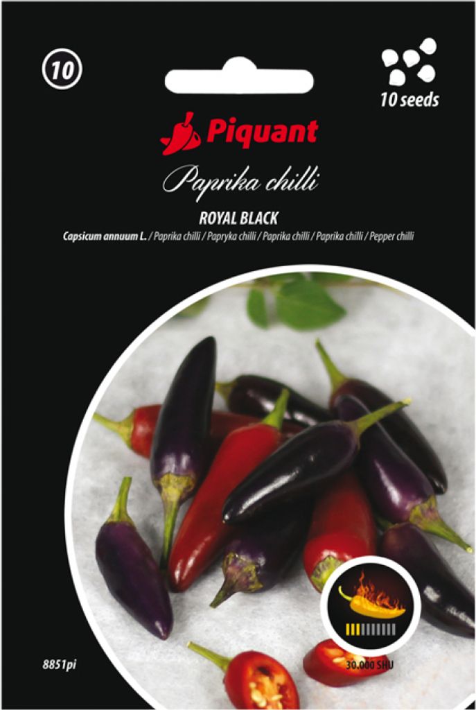 Nohel Garden Paprička chilli ROYAL BLACK Obrázek produktu 