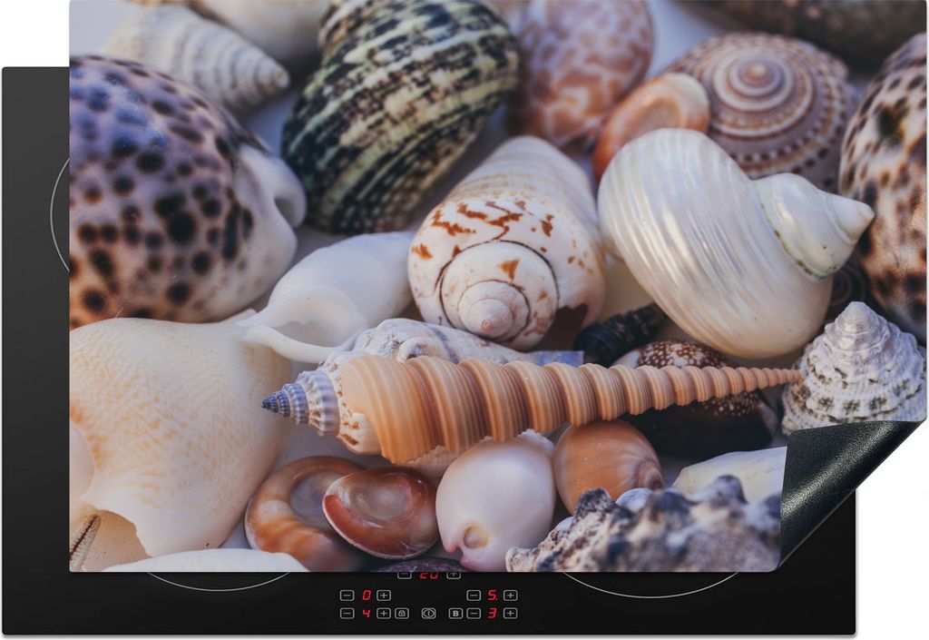 KitchenYeah Herdabdeckplatte Muscheln - Strand - Nahaufnahme , 77x51cm, Küche Deko, Glaskeramikkochfeld Herdabdeckung, Abdeckplatte fùr Kochfeld