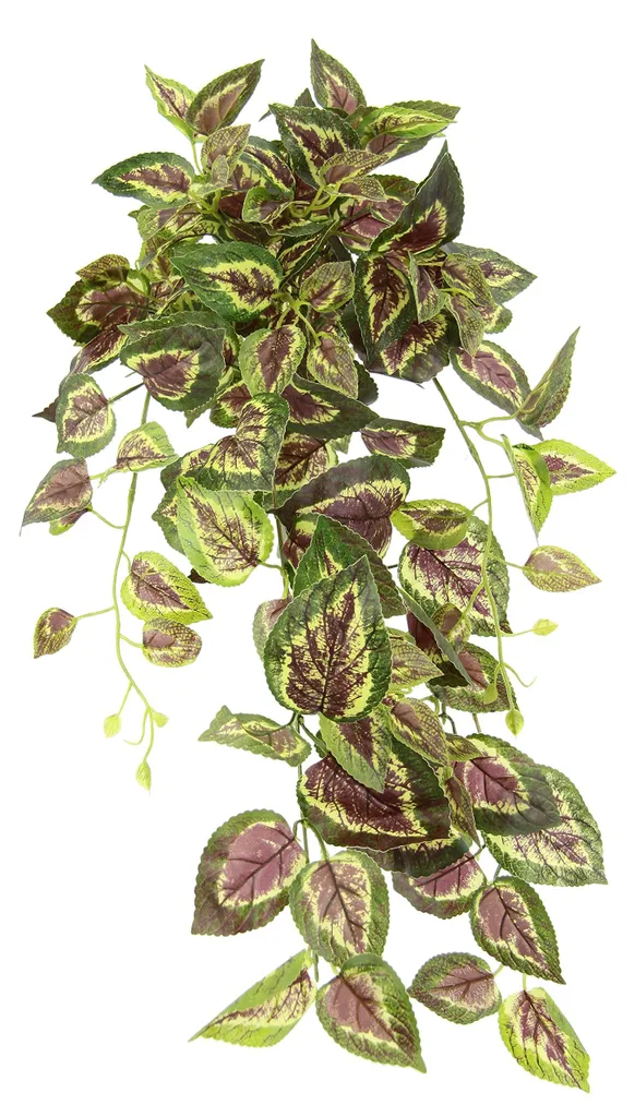 Plante suspendue artificielle Buntnessel 151724GNR lierre 80cm