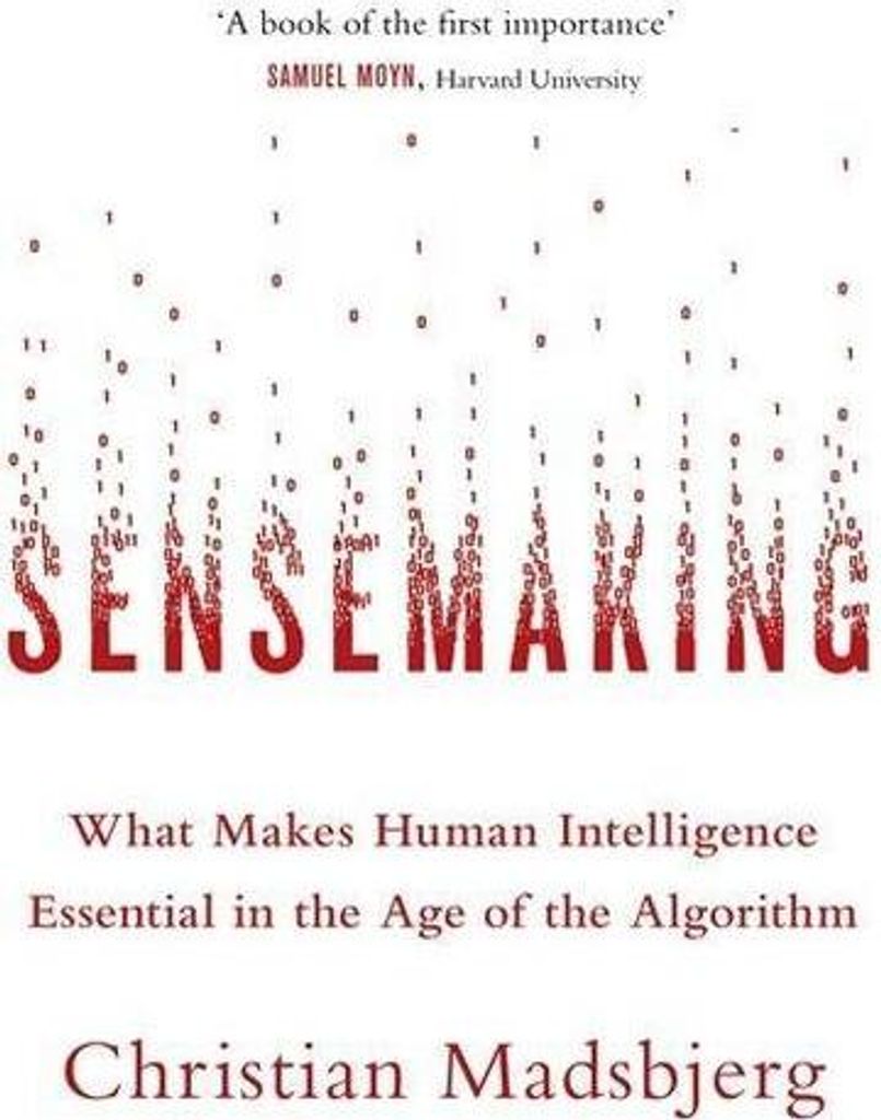 Sensemaking