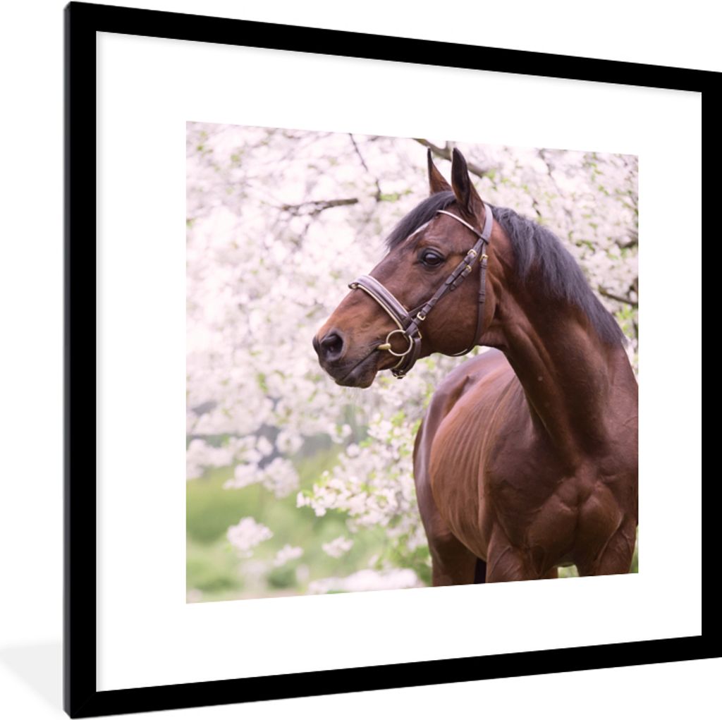 MuchoWow Gerahmtes Poster Pferd - Sakura - Halfter 40x40 cm - Poster mit Schwarzem Bilderrahmen Wandposter Rahmen Foto Bilder - Poster - Plakat i...