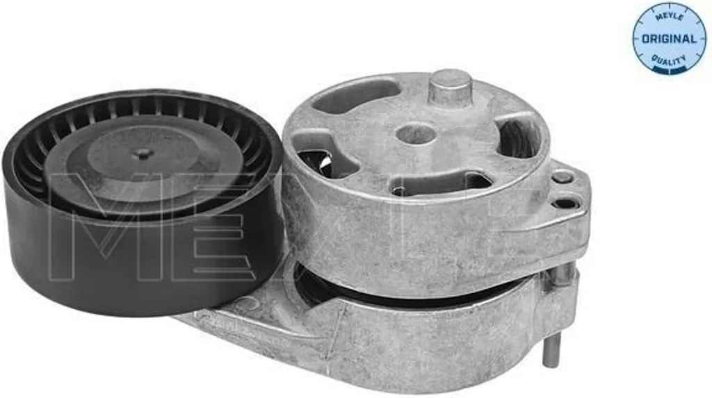 Kit Tendeur de Courroie pour Entretien Moteur Seat Cordoba et Audi Q7 4M OE