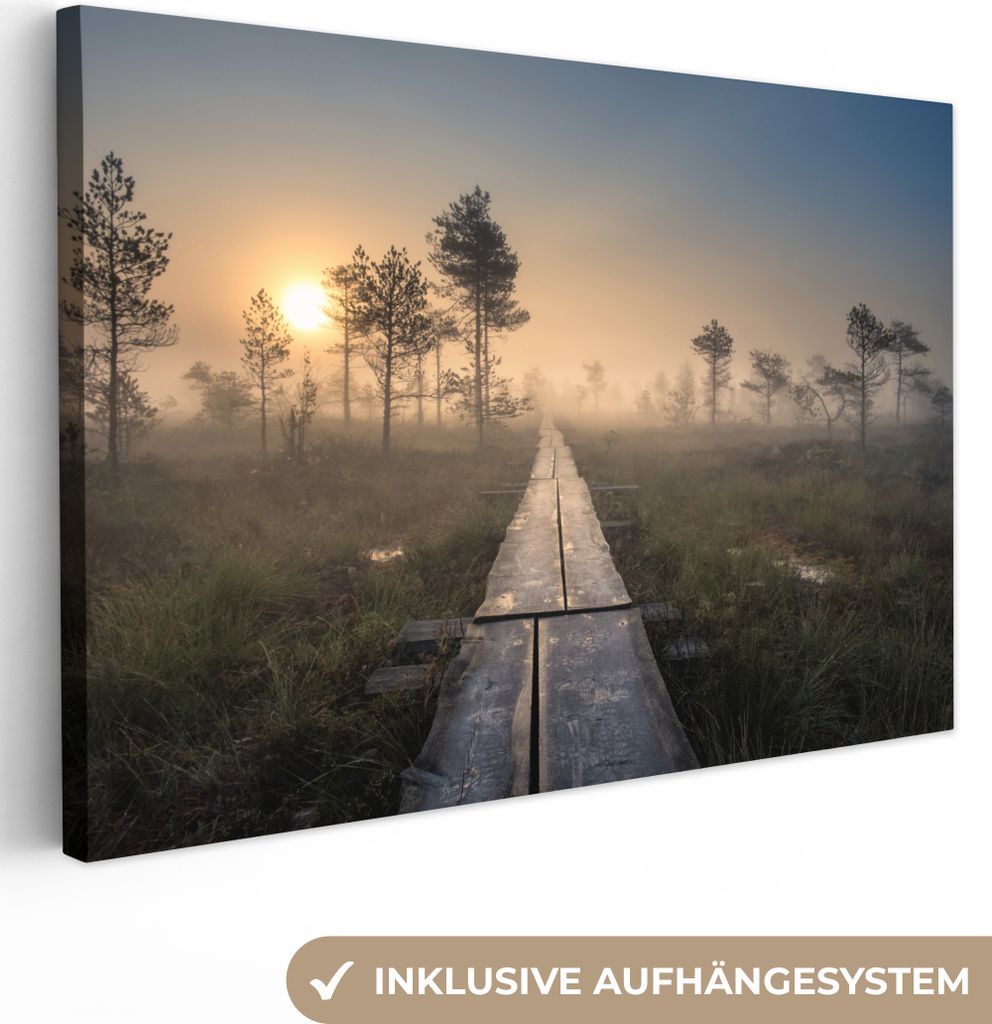 OneMillionCanvasses - Leinwandbilder - 150x100 cm, Wald - Sumpf - Baum, Wandbilder Kunstdruck Wanddekoration