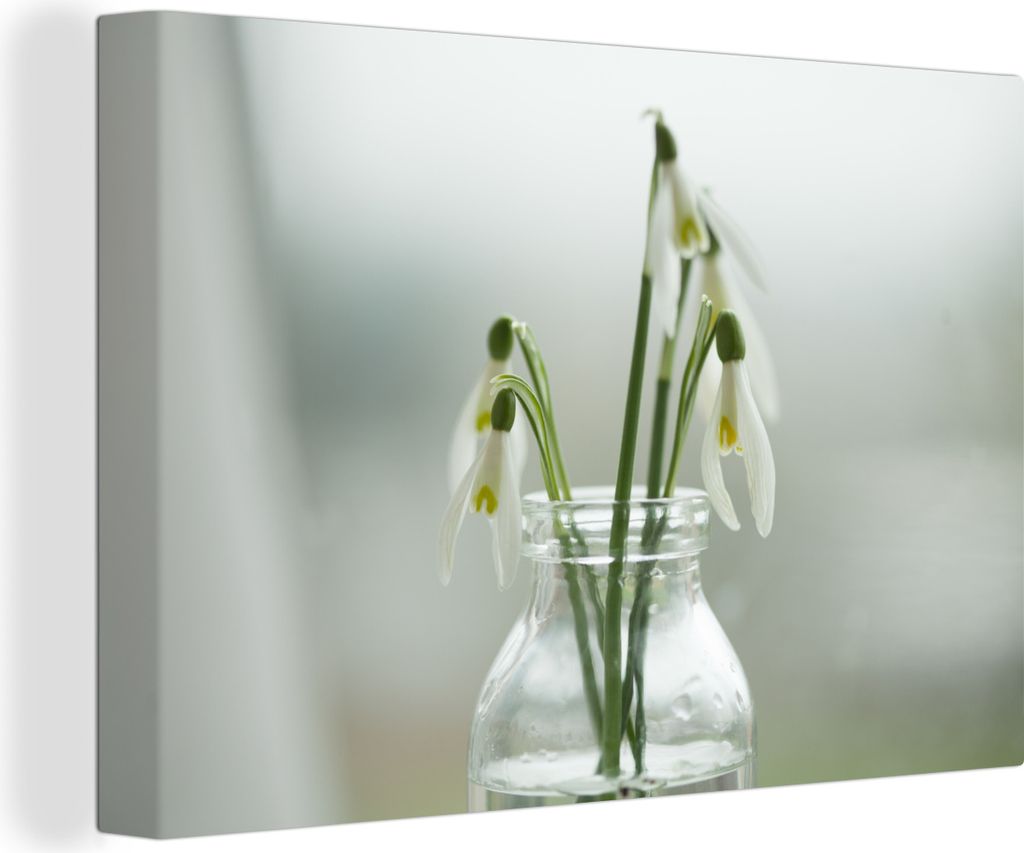 OneMillionCanvasses - Leinwandbilder - 140x90 cm, Schneeglöckchen in einer transparenten Vase, Wandbilder Kunstdruck Wanddekoration - Foto auf L...