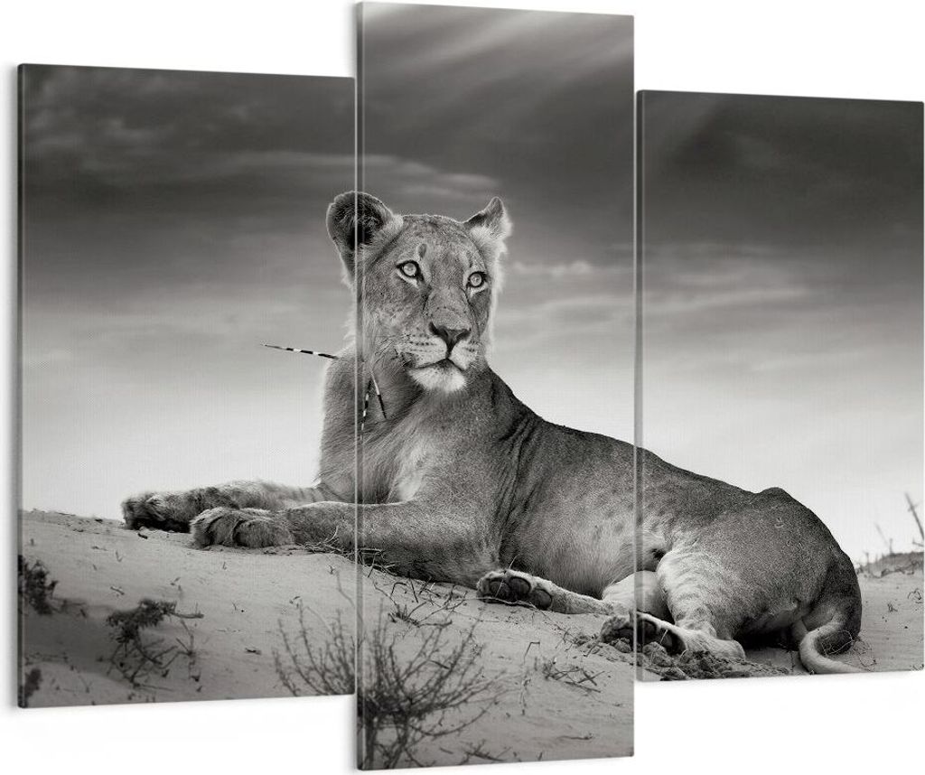 Bild auf Leinwand - Leinwandbild - Tierwelt weiblich katze Produktbild 