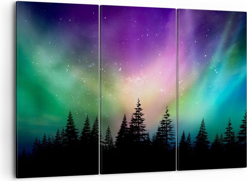 Bild auf Leinwand - Leinwandbild - Aurora Polar Nacht - Produktbild 