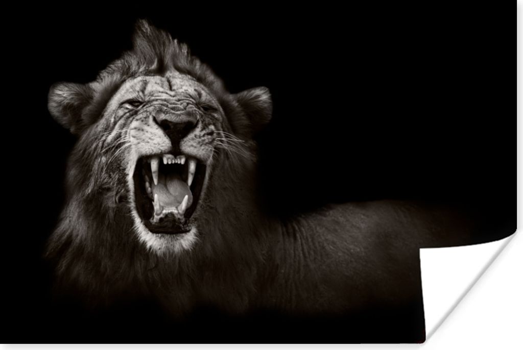 MuchoWow Poster Löwe - Wild - Schwarz - Weiß 60x40 cm - Schlafzimmerdekoration