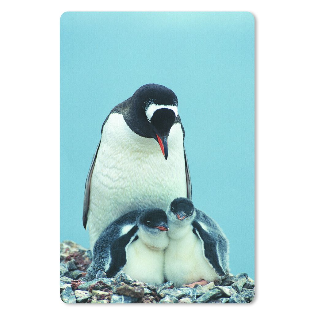 MuchoWow Mauspad Mousepad Tiere - Pinguine - Küken 40x60 cm - Mousepads - Maus Mat - Pad - Mausunterlage - Schreibtisch Accesoire