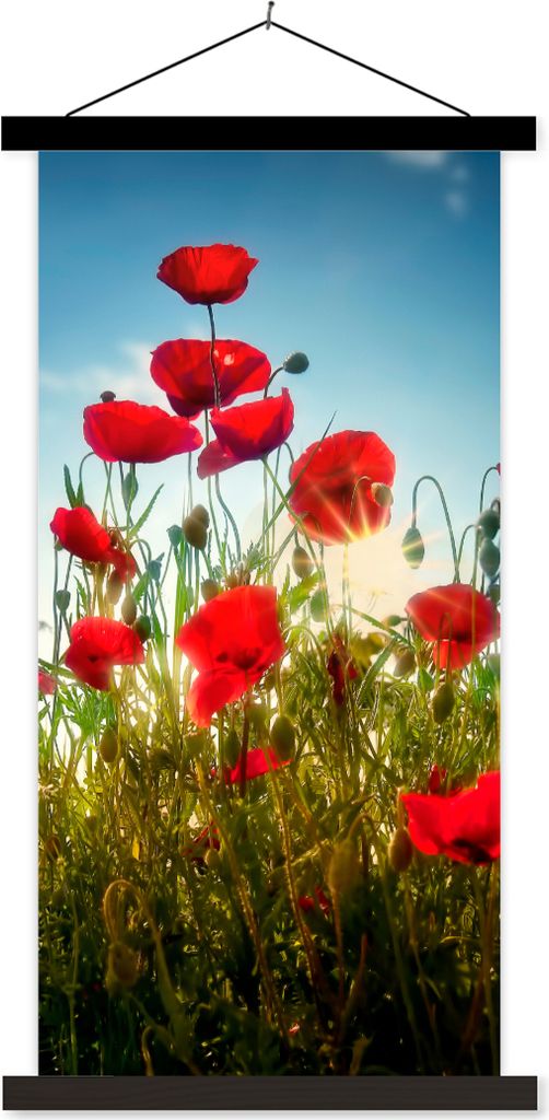 MuchoWow Textilposter Mohnblumen - Toskana - Sonne - Rot - Blau 60x120 cm mit schwarzem Rahmen - Magnete