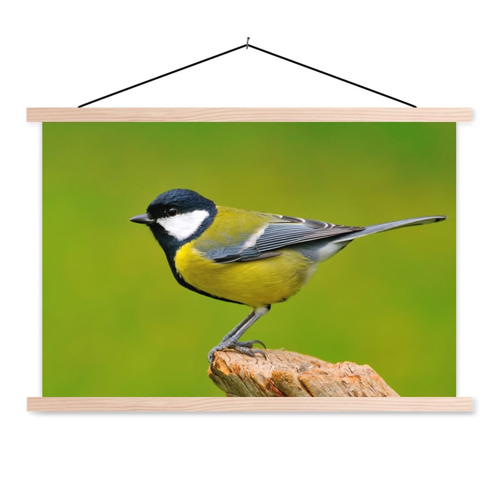 MuchoWow Textilposter Vogel - Kohlmeise - Tiere - Grün 60x40 cm mit holzfarbenen Rahmen - Bilder