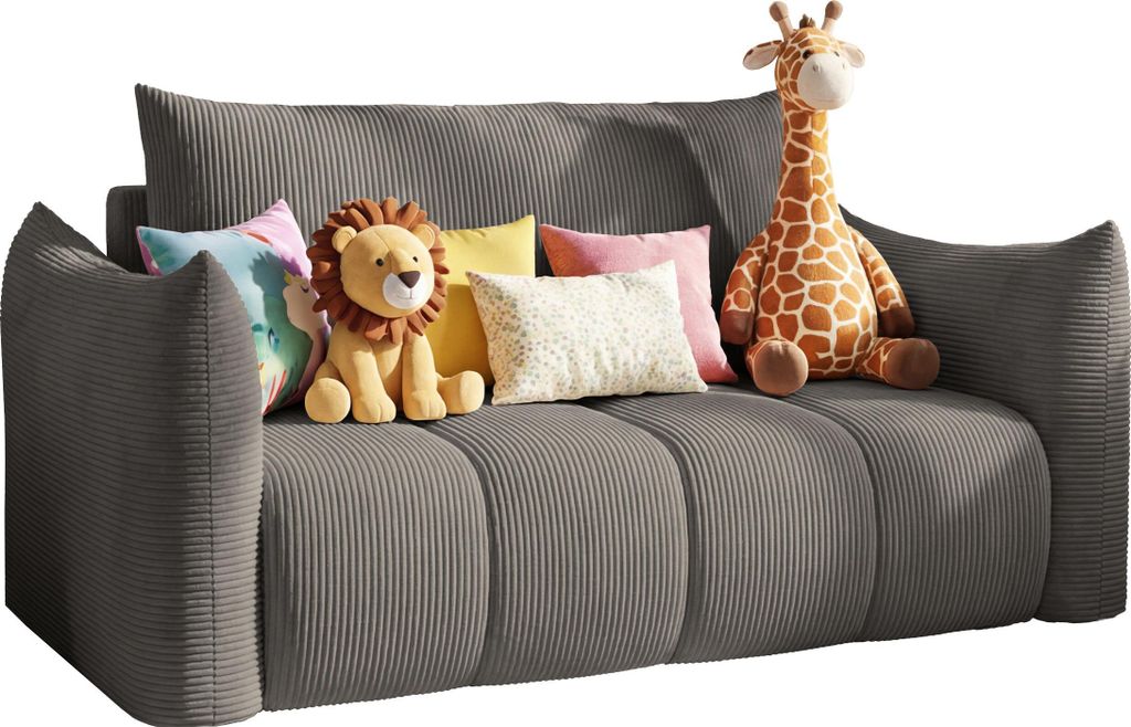 Schlafsofa 2-Sitzer mit Bettkasten – Ausziehbar Jugendsofa mit Schlaffunktion, Liegefläche 120 x 150 cm – für Jugendzimmer, Kinderzimmer und ...