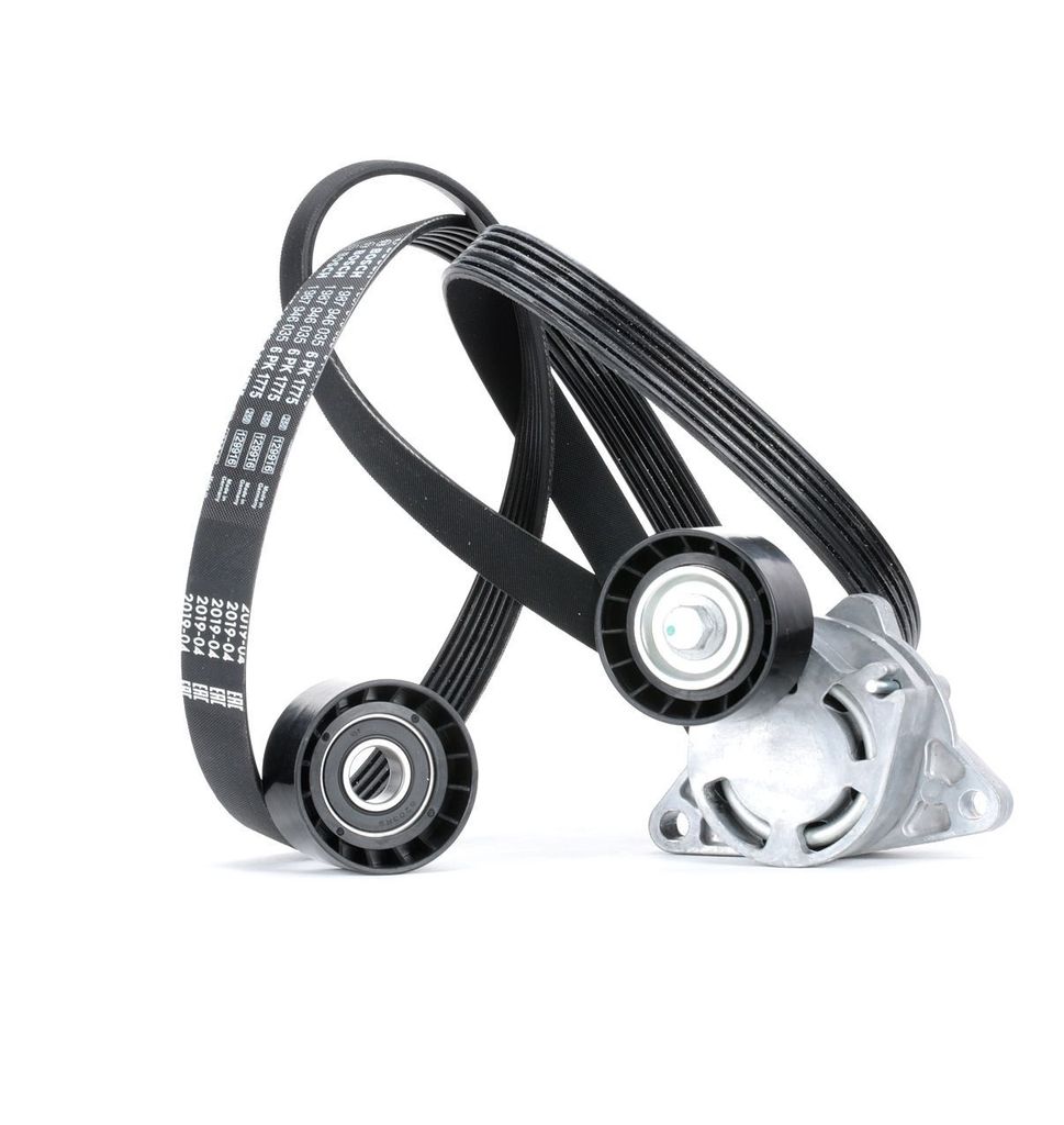 RIDEX 542R0066 Keilrippenriemensatz für RENAULT LAGUNA II Grandtour (KG0/1)