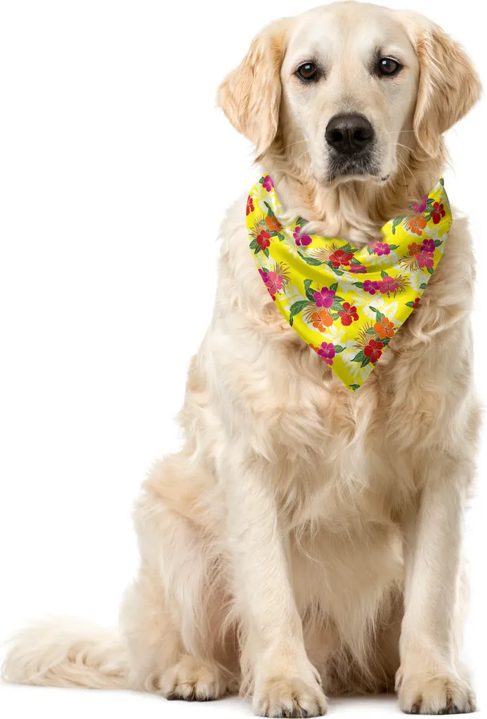 ABAKUHAUS Bandana per animali domestici con motivo ibisco, fiori tropicali, 40x40 cm, multicolore