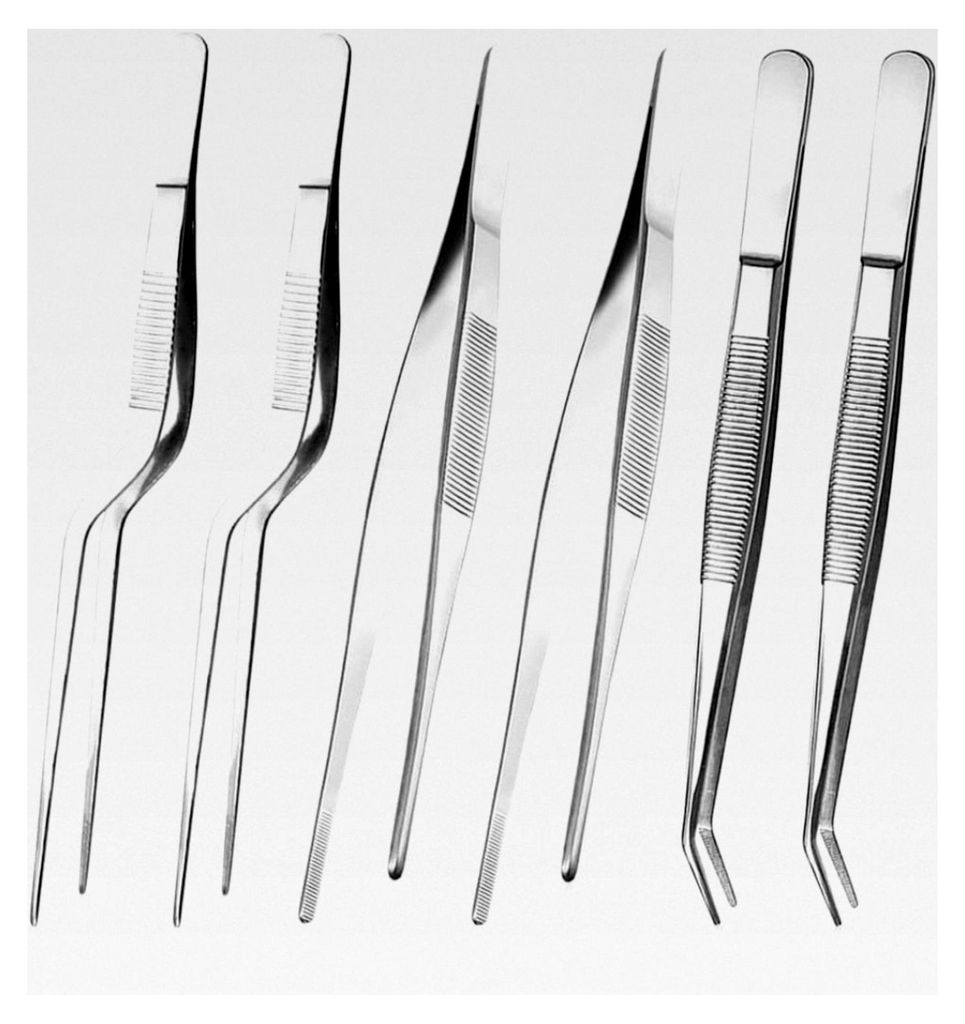 Küchenpinzette aus Edelstahl, 16 cm (6 Stück)