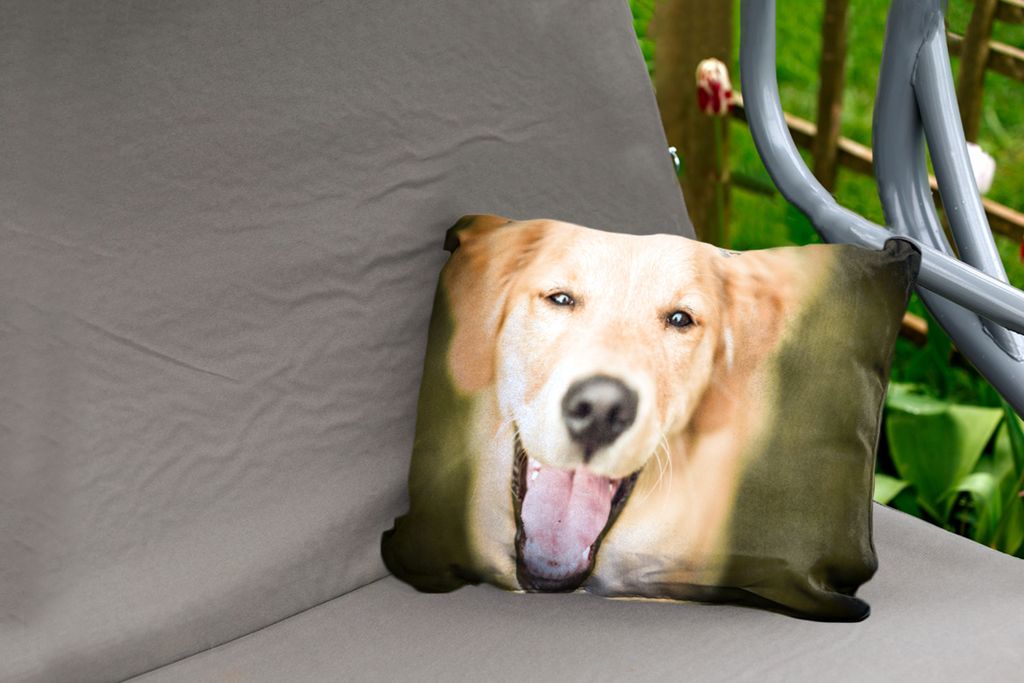 MuchoWow Outdoor Kissen - Das Glitzern in den Augen dieses Labrador Retrievers - 50x30 cm - Wetterfest - Lounge Kissen - Sofa kissen - Wohnzimmer...