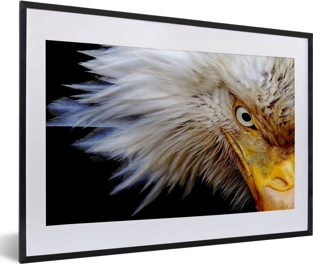 MuchoWow Gerahmtes Poster Vogel - Auge - Schnabel 60x40 cm - Poster mit Schwarzem Bilderrahmen Wandposter Rahmen Foto Bilder - Schlafzimmer - Pla...