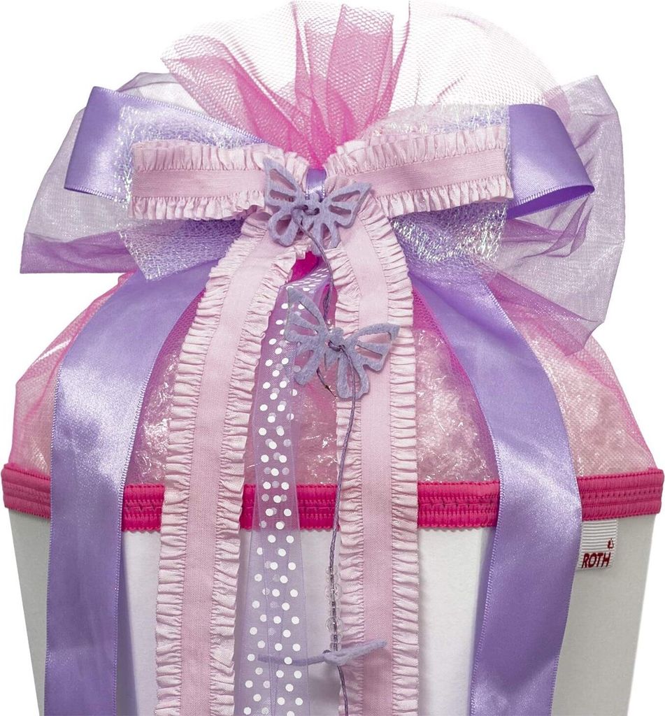 ROTH 679131 ROTH "Butterfly" školský kužeľový luk, fialový Obrázok produktu 