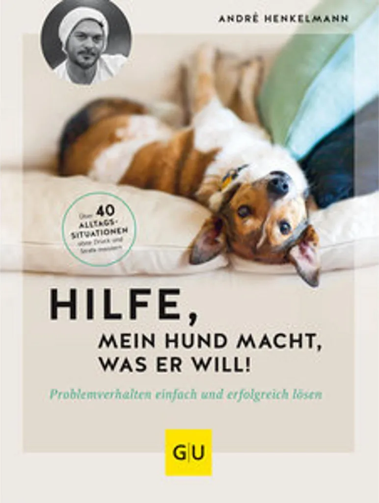 Comment Calmer un Chien Têtu avec le Guide Hilfe, mein Hund macht, was er will