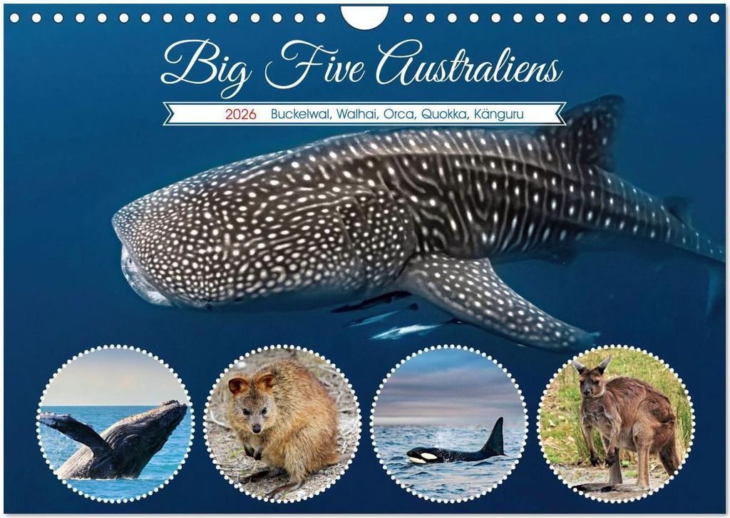 Big Five Australiens Buckelwal, Walhai, Orca, Quokka,Känguru (Wandkalender 2026 DIN A4 quer), CALVENDO Monatskalender