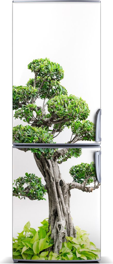Tulup Kühlschrankdekoration - Magnetmatte - 60 cm x 180 cm - Magnet auf dem Kühlschrank - Bonsai Baum