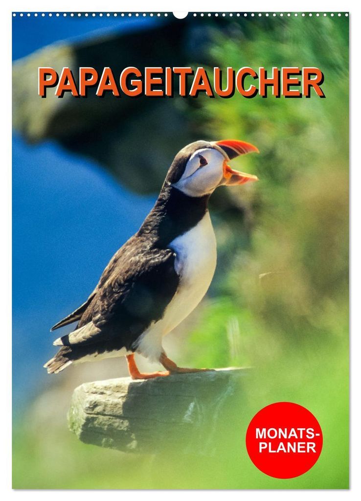 Papageitaucher Monatsplaner (Wandkalender 2027 DIN A2 hoch), CALVENDO Monatskalender