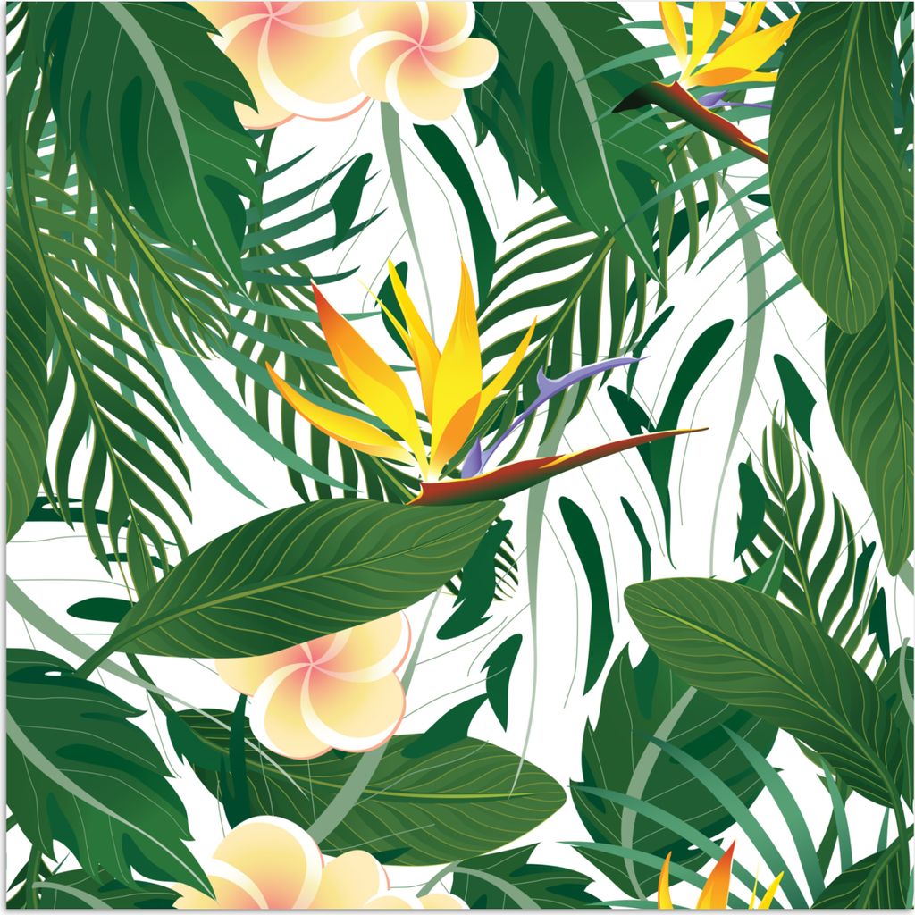 MuchoWow Poster Blätter - Blüten - Paradiesvogelpflanze 100x100 cm - Babyzimmer