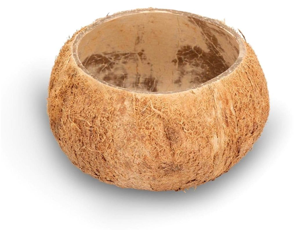 Kokosnuss Schale Natur Ø 10–13 cm | Kokos Becher 8–10 cm Höhe | Deko Kokosnuss für Terrarium, Aquarium, Beach Party, Vogelspielzeug, Hamster...
