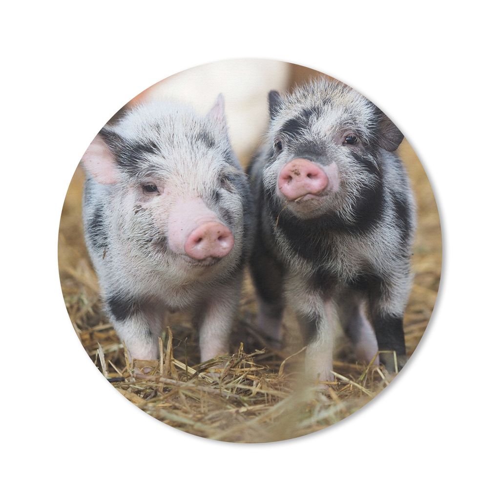 MuchoWow Mauspad Mousepad Schwein - Tiere - Ferkel 20x20 cm - Mousepads - Maus Mat - Pad - Mausunterlage - Schreibtischmatte