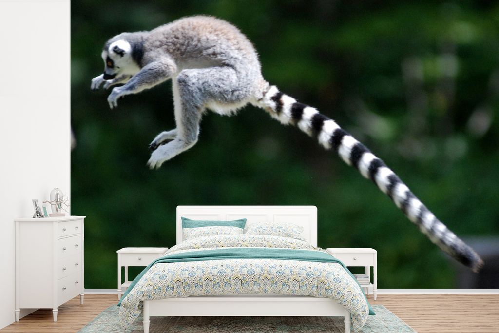MuchoWow Fototapete für Wohnzimmer oder Schlafzimmer Wandtapete Vinyl Motivtapete Affe - Ringschwanzlemur - Wald - 360x240 cm - Vinyl-Tapete