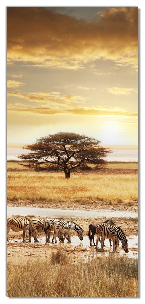 Wallario selbstklebende Türtapete 93 x 205 cm - Safari in Afrika eine Herde Zebras am Wasser - Abwischbar, rückstandsfrei zu entfernen