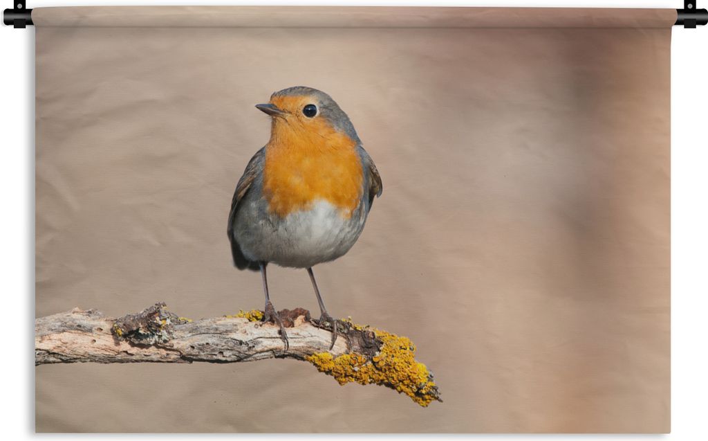 MuchoWow Wandteppich Wandbehang Rotkehlchen - Vogel - Zweig - Tiere 120x80 cm Tapisserie Dekoration Wandtuch - Wanddekorationen - Wandtücher
