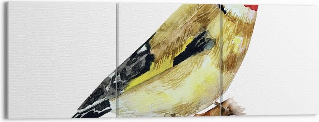 Bild auf Leinwand - Leinwandbild - 3 Teile - Stieglitz Vogel Aquarell - 150x50cm - Wand Bild - Wanddeko - Wandbilder - Leinwanddruck - Bilder - Wan...