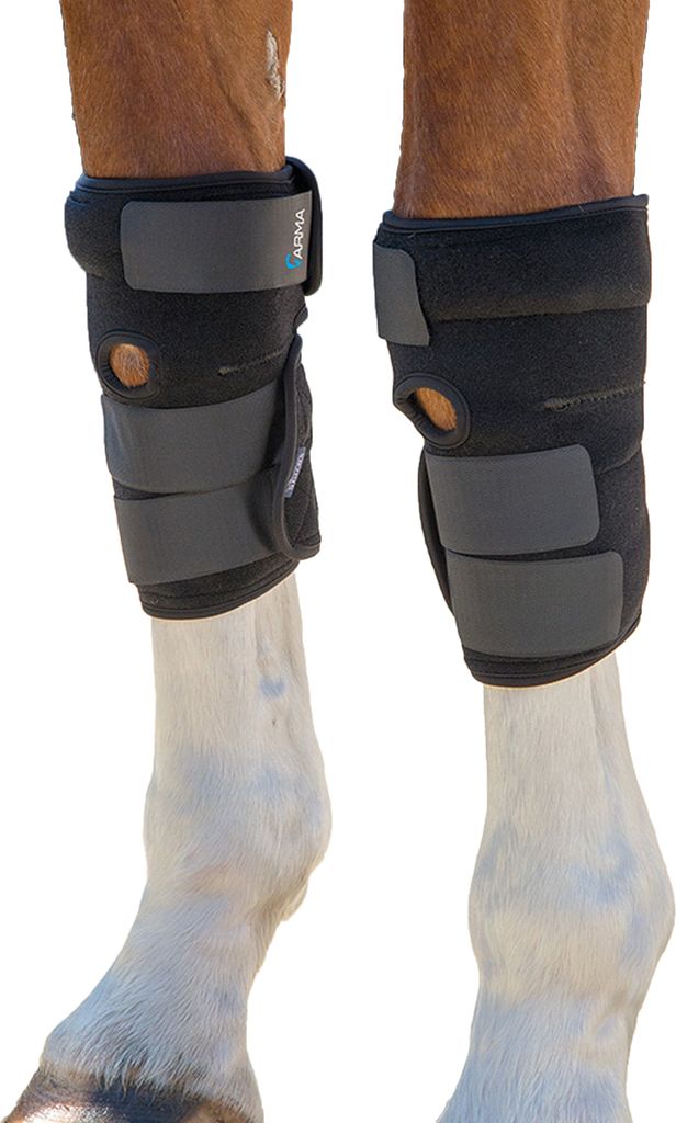 ARMA - Pferde Gelpad "Hot And Cold" ER1056 (Einheitsgröße) (Schwarz)