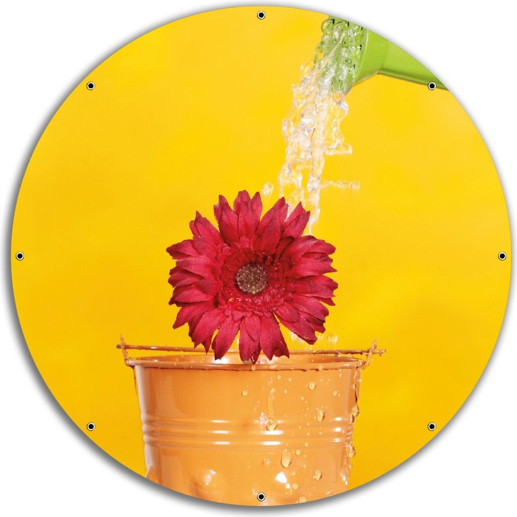 Wallario rundes Outdoor-Poster für Garten oder Balkon, Motiv Rote Blüte im Blumentopf - frisch begossen, 60 cm Durchmesser