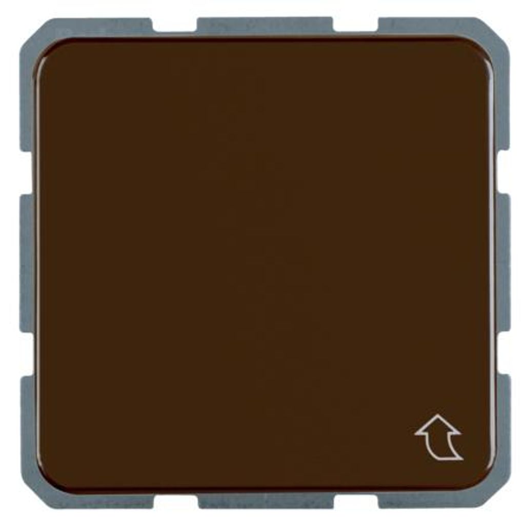 Berker FR-SSTD + KLAPPDECKEL UP IP44 (471501 BRAUN)