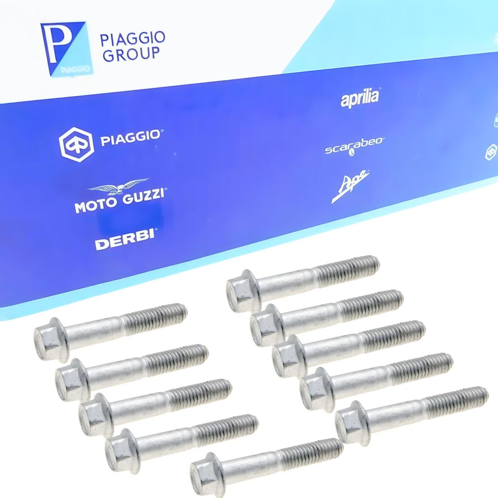 Piaggio 10x Variodeckel Schrauben Original kompatibel mit Piaggio 50 Sfera Quartz TPH Zip NRG Runner LX