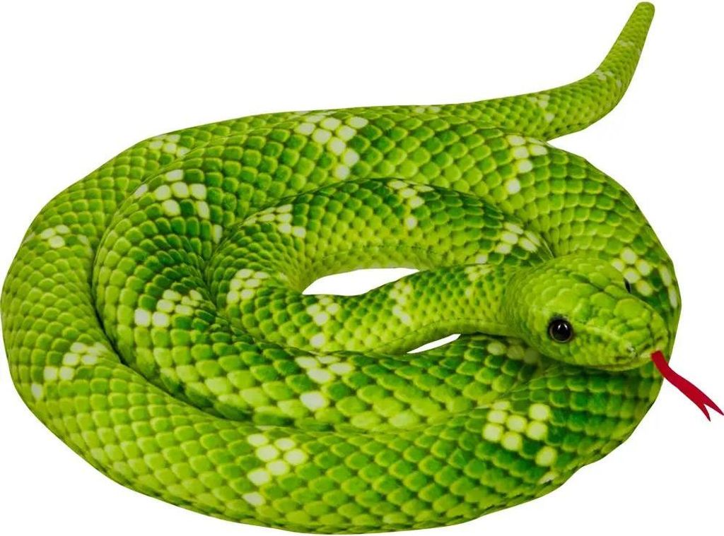 Baumpython - Nature Zoom Wild Produktbild 