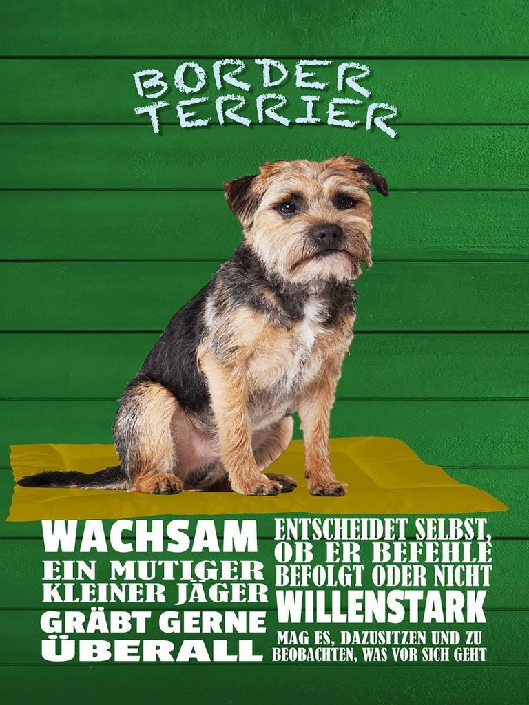 vianmo Holzschild 40x30 cm Border Terrier Hund wachsam