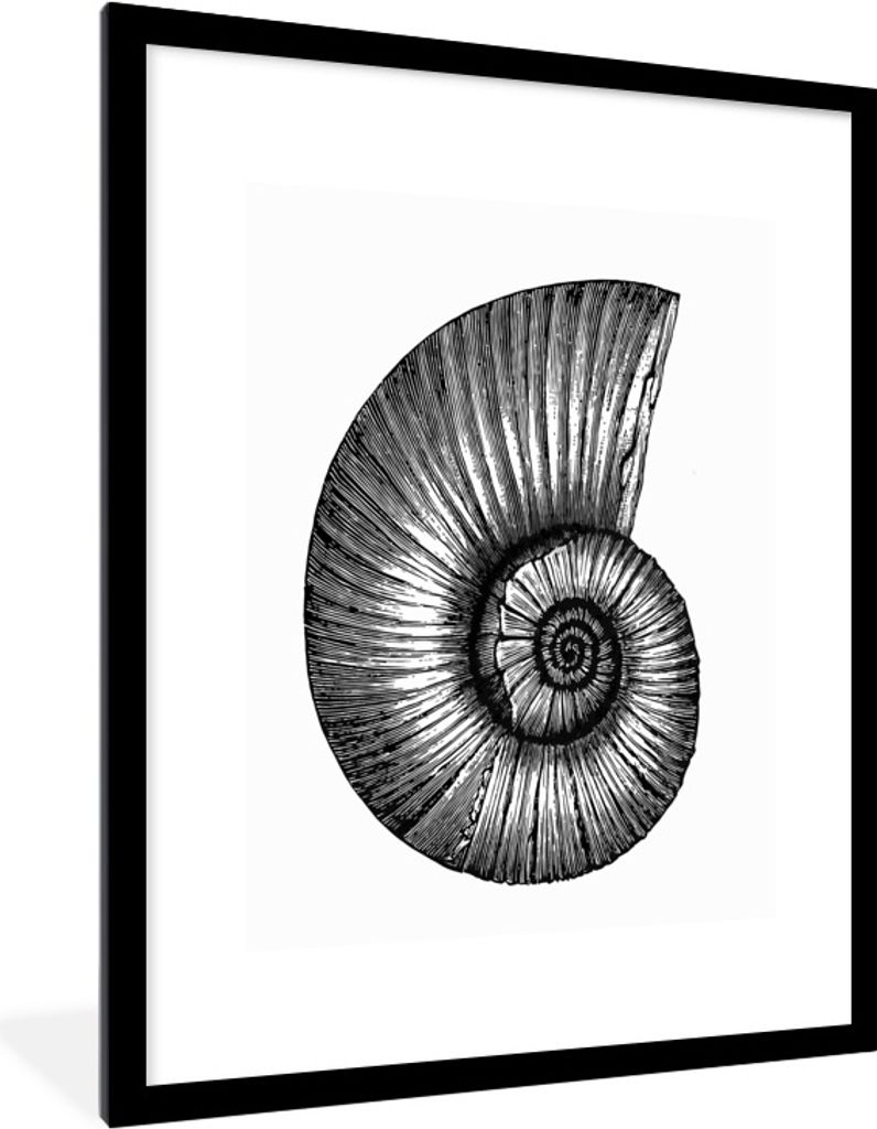 MuchoWow Gerahmtes Poster Eine schwarz-weiße Illustration einer Muschel 60x80 cm - Poster mit Schwarzem Bilderrahmen Wandposter Rahmen Foto Bild...