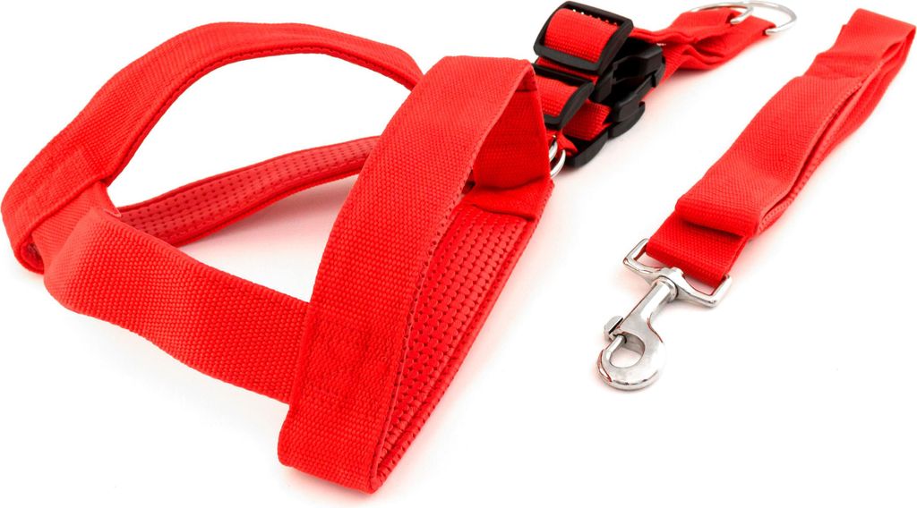 Hundegeschirr und Hundeführleine Set für mittelgroße und große Hunde XL Führleine Brustgeschirr verstellbar 75 bis 95cm Nylon Rot Hundeleine